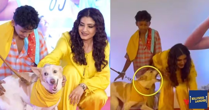OMG! Red Carpet Chaos with Raveena Tandon – Dog Gets Grasp of Her Dress, Actress Handless it Cooly