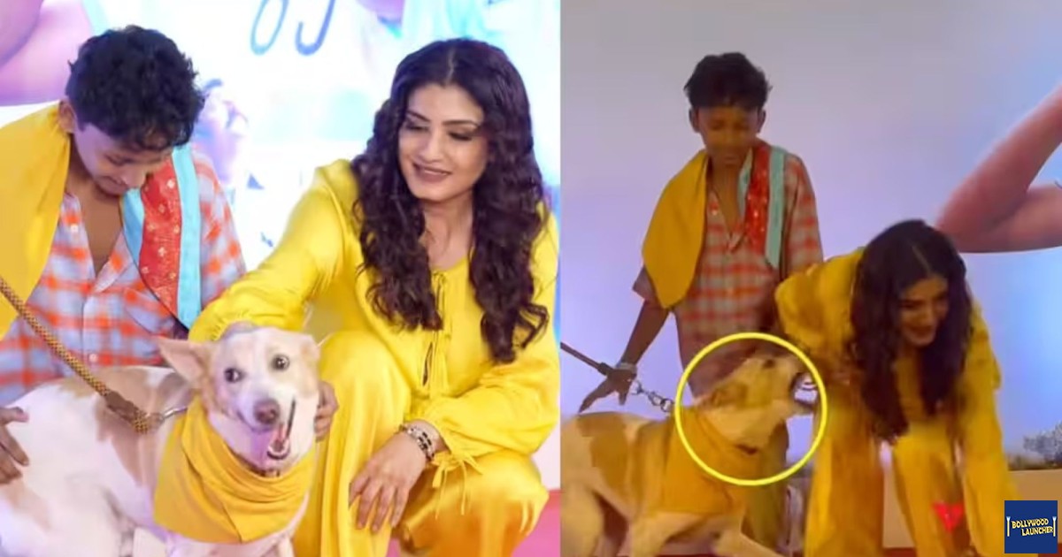 OMG! Red Carpet Chaos with Raveena Tandon – Dog Gets Grasp of Her Dress, Actress Handless it Cooly