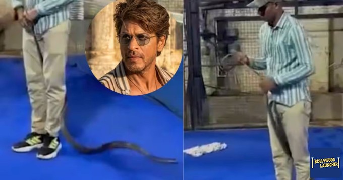 Snake 8 Feet Long Attacks Shah Rukh Khan's 'Mannat', Creates Stir; Rescued Alive- Report