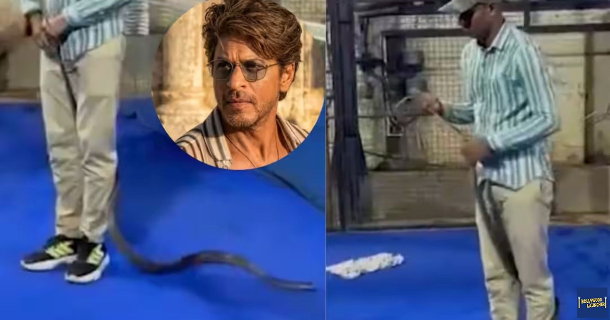 Snake 8 Feet Long Attacks Shah Rukh Khan's 'Mannat', Creates Stir; Rescued Alive- Report